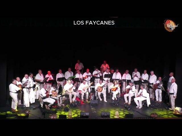 G.M.LOS FAYCANES. TELDE.