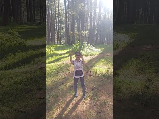 Garden  🟩 shorts video #youtub