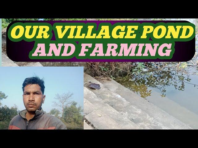 LETS SEE OUR VILLAGE // IS  FARMING IN POND WATER  #sasmitamanojvlogs #manojvlogs