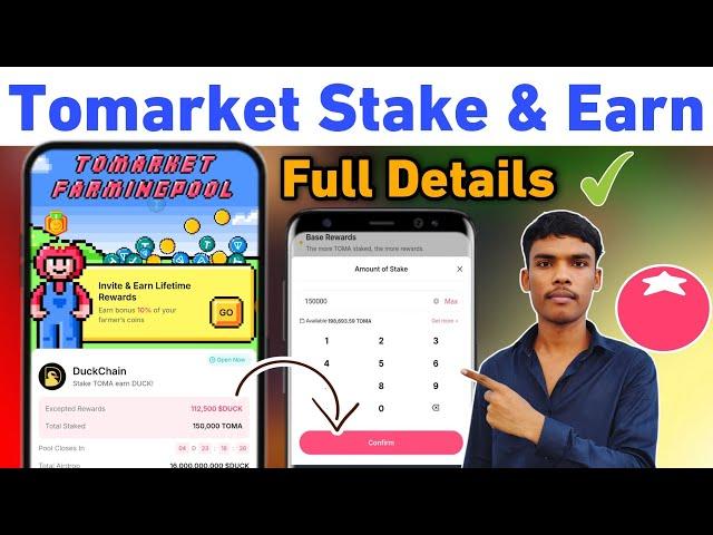 Tomarket Airdrop Stake Kaise Kare | Tomarket Airdrop Farming Pool | Stake TOMA Earn Ducks