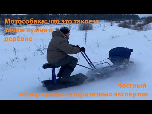 Мотособака "Альбатрос": 20-минутный обзор и ответы на основные вопросы