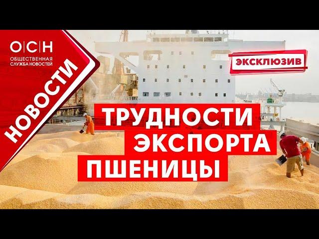 Трудности экспорта пшеницы