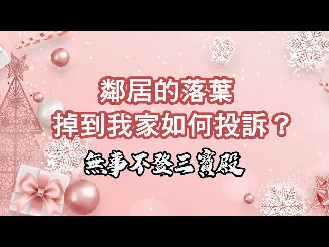 無事不登三寶殿 12/31/24 鄰居的落葉掉到我家如何投訴？