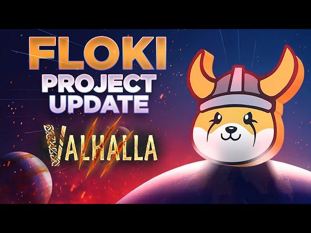 Floki Meme Coin Project Update