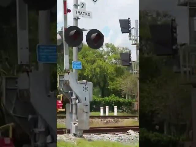 MOW