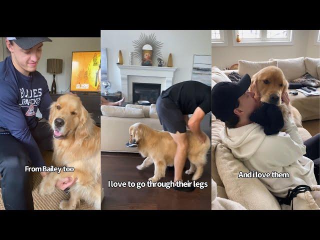 Golden Retriever Loves His Human Brothers