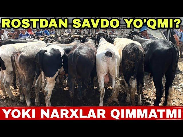 BOQMA SEMIZ VA KICHIK BUQALAR NARXLARI SURXONDARYO MUZRABOT ZANG MOLBOZORI 03.05.2025