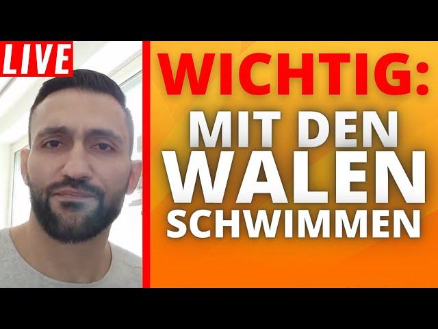 Sei SCHLAU und mach es wie die REICHEN ! | Stream Highlights