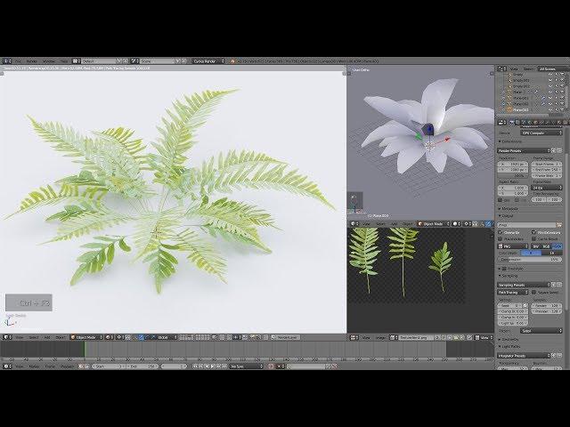 Blender2 79 Fern creation with your own textures