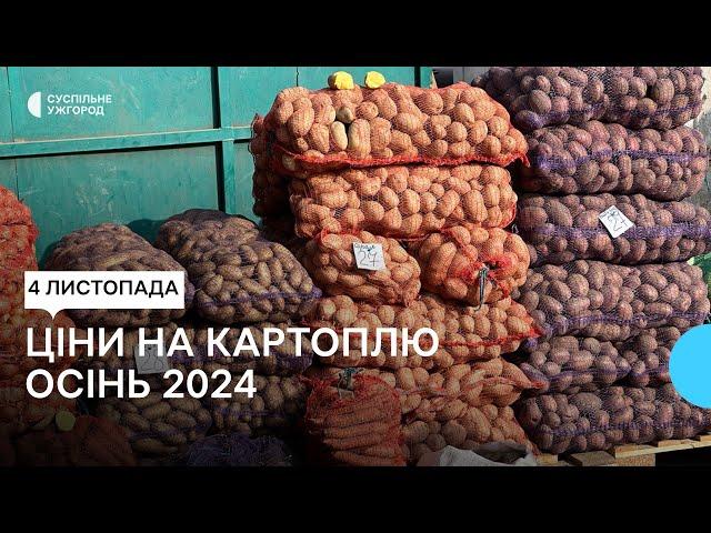 Ціни на картоплю на Закарпатті: що кажуть фермери, продавці та покупці