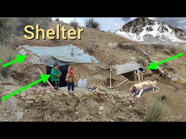 Mountain Shelter:Story of a Woman Who Lives in a Cave with Her Dogs