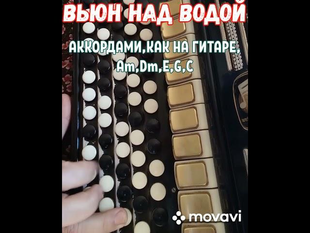 БАЯН."ВЬЮН НАД ВОДОЙ"БЕЗ НОТ АККОРДАМИ Am,Dm,E,G,C, КАК НА ГИТАРЕ.RUSSIAN SONG WITH ACCORDION.