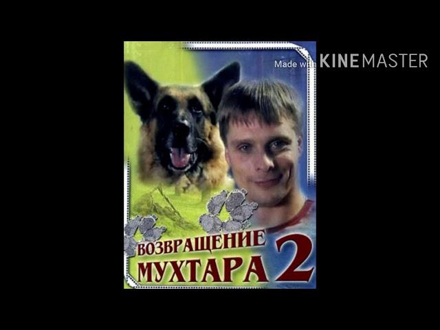 возвращение мухтара Instrumental