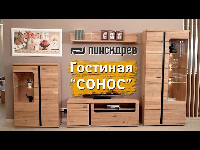 Гостиная "Сонос" от Пинскдрев, Белорусская мебель