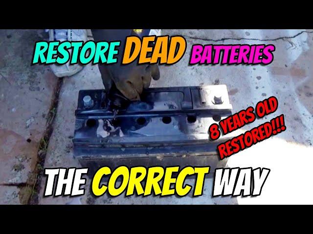 How to restore a dead car battery the correct way: NO EPSOM SALTS