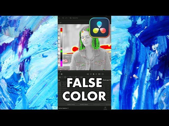 False Color in DaVinci Resolve