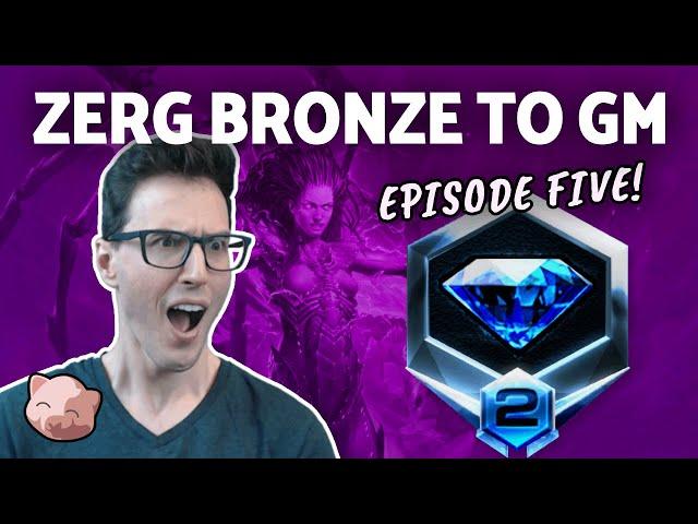 2023 Zerg Bronze to GM #5: Diamond 2 - Learn Hydras & Defend Mech (B2GM) | StarCraft 2