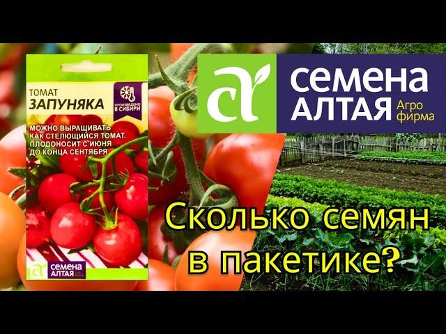 Сколько семян томата в 0,05 гр? Томат Запуняка от Семена Алтая. Обзор.