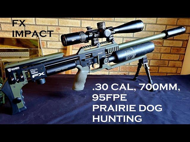 Hunting with an FX IMPACT MKII. Shooting prairie dogs with the .30 cal 700mm w/slug liner 55gn NSA.