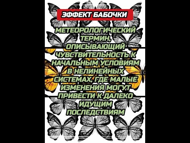Эффект бабочки. Научные факты #факты #интересныефакты #eckstate #фактыоживотных #топ #топхайп
