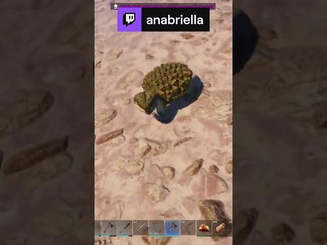 OMG Wild Baby Dinos | anabriella on #Twitch #playARK