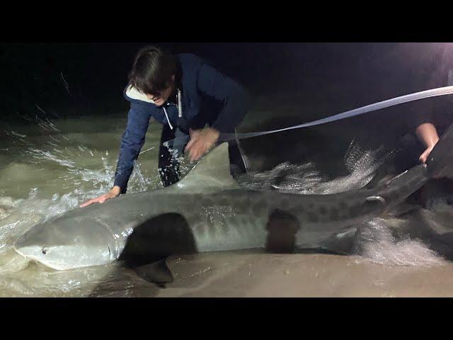 Winter Land Based Shark Fishing in Jacksonville Florida for Monster Shark!!