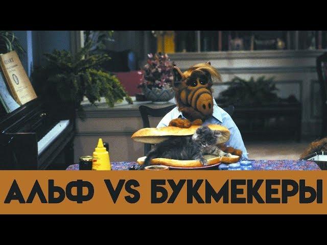 SportMovie | Альф против букмекеров