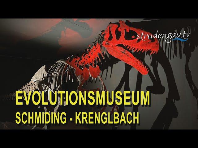 Evolutionsmuseum Schmiding -  Krenglbach