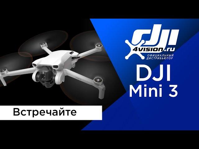 DJI Mini 3 - Встречайте (в переводе 4vision.ru)