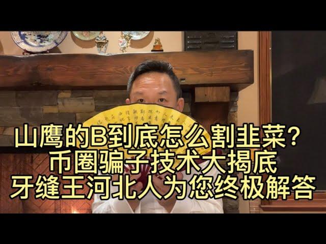 炸裂重磅：翟币喜币各种币怎么割韭菜？资本大佬大起底，币圈防骗自救指南。