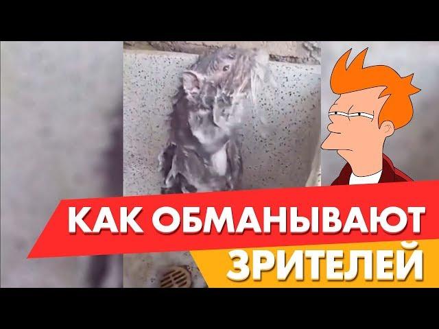 Как обманывают зрителей. Как моется Крыса - NRJNews 26