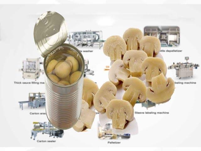 Mushroom canning process canned mushroom production line vegetable can production line