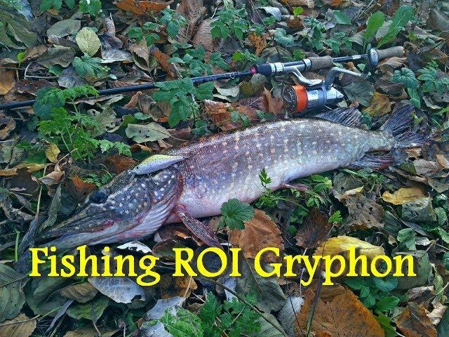 Обзор спиннинга Fishing ROI Gryphon