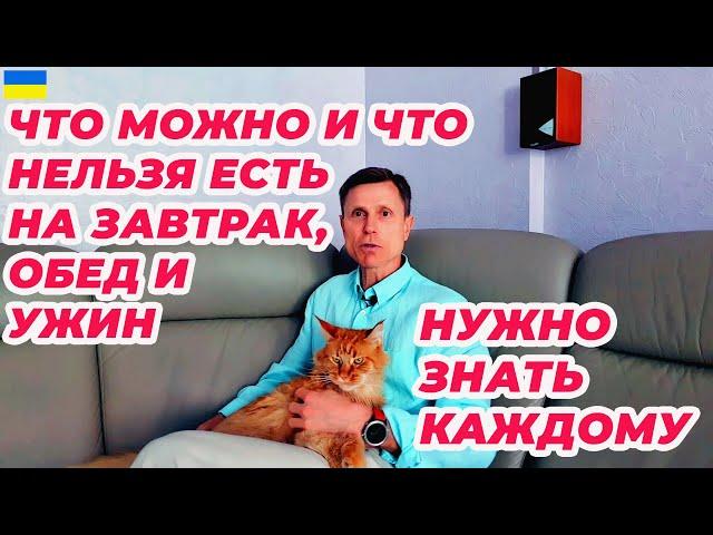 Что можно и что нельзя есть на завтрак, обед и ужин. Нужно знать каждому.