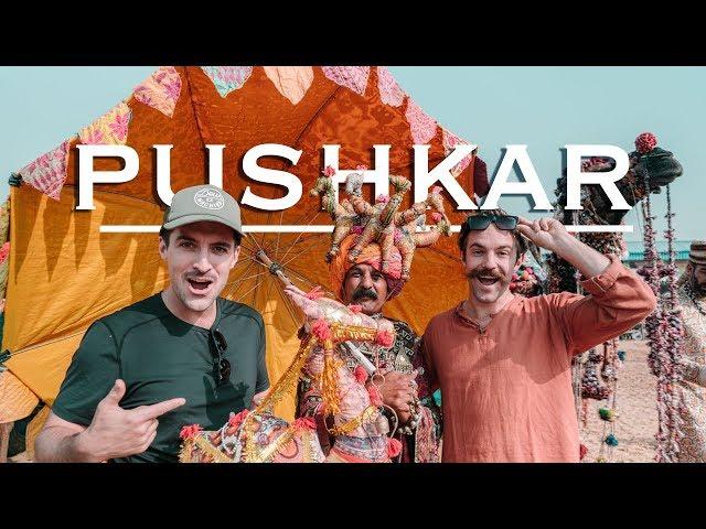 Pushkar Camel Fair | India's Best Festival?