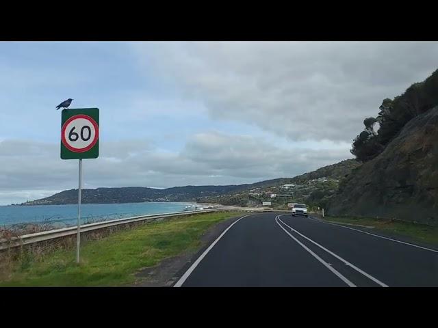 1 Day Trip from Melbourne CBD to Great Ocean Road, Australia