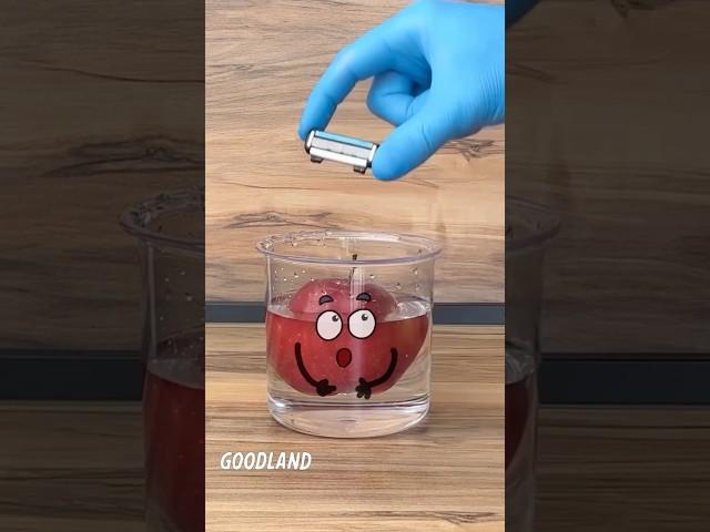 Goodland | How to peel an apple  #shorts #doodles