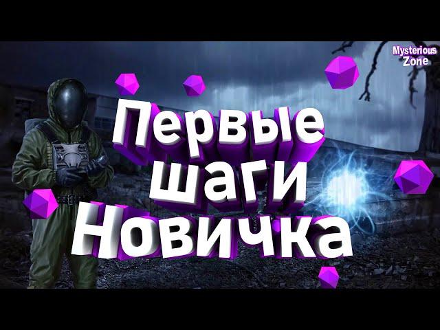 S.T.A.L.K.E.R Первые шаги Новичка | Mysterious Zone (9 ВАЙП)