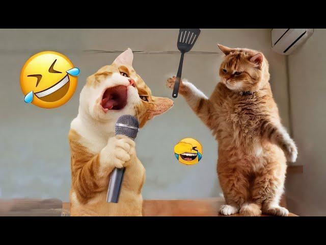 Funniest Cats and Dogs Clips  ll Try Not To Laugh 