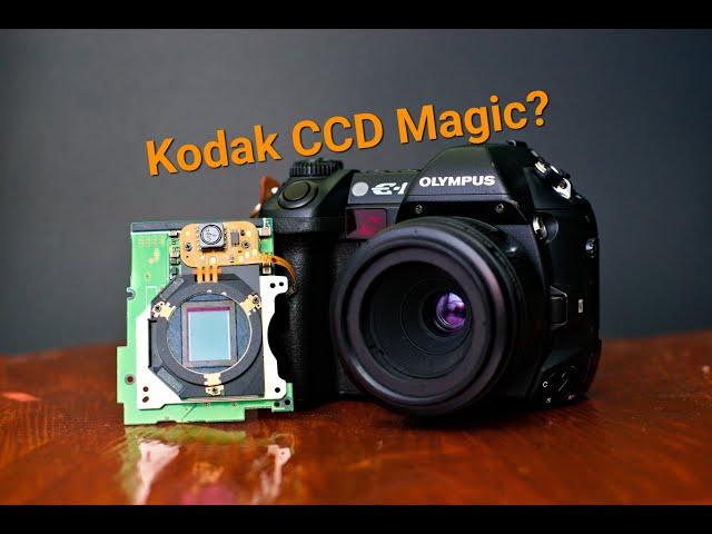 The Olympus E-1, Is There some Kodak CCD Magic in this Four Thirds DSLR?