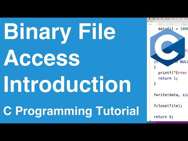 Binary File Access Introduction | C Programming Example