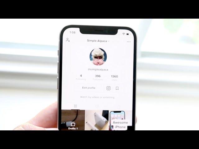 How To Switch To Private / Public Account On TikTok! (2021)