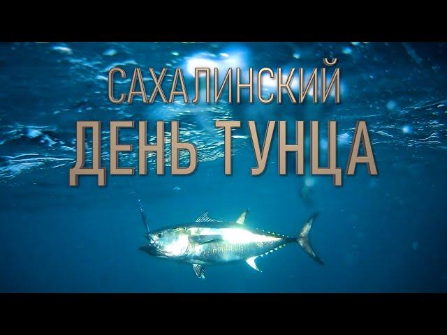 Сахалинский тунец! Соревнование по ловле тунца, разделка огромной рыбы и многое другое