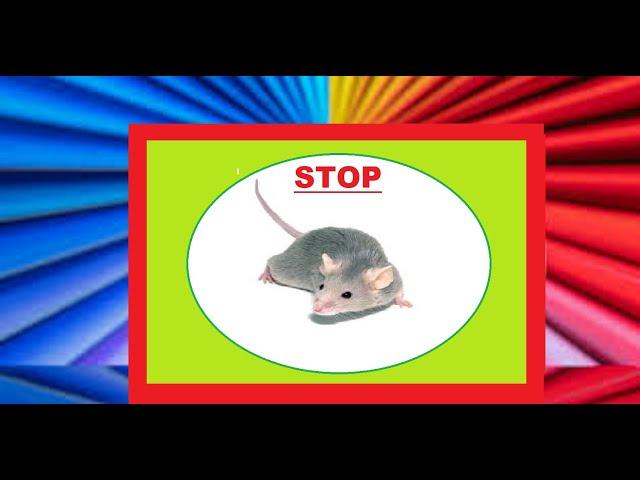 RAT REPELLENT - sound to scare rats away and keep them away -