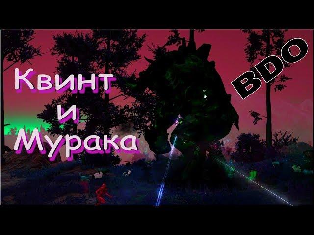 Квинт и Мурака