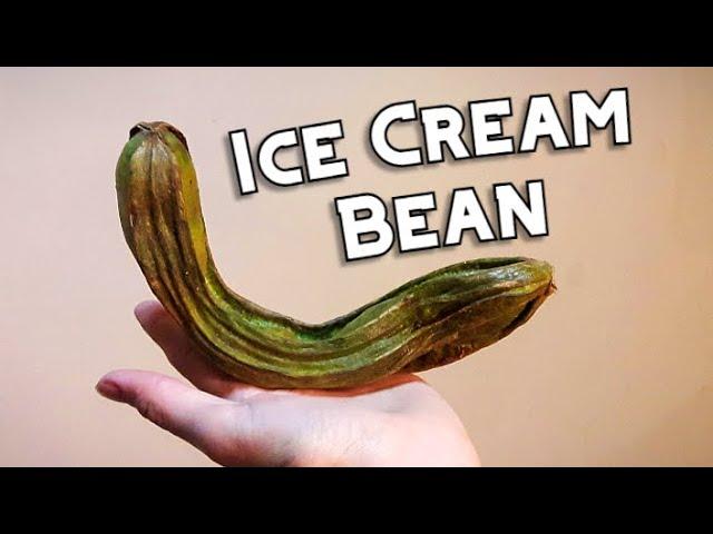 Ice Cream Bean - Weird Fruit Explorer Ep. 200