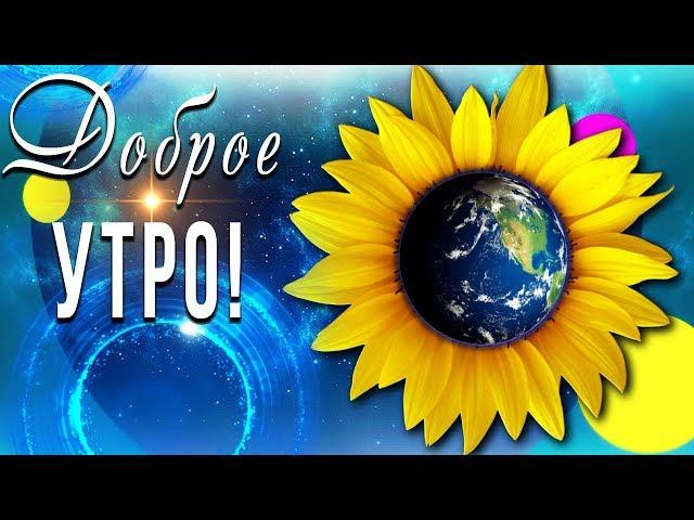 ️Доброго утра! Хорошего дня!️ Видео для #WhatsApp