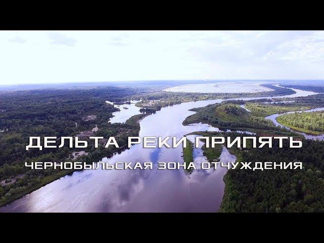 Pripyat River Delta and Peat Marshes. Chernobyl Exclusion Zone