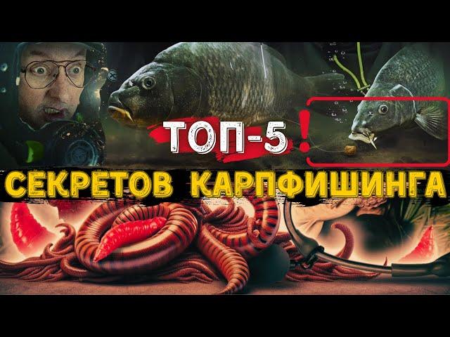 Что Такое Карпфишинг. Все Секреты и Ошибки Ловли Карпа.