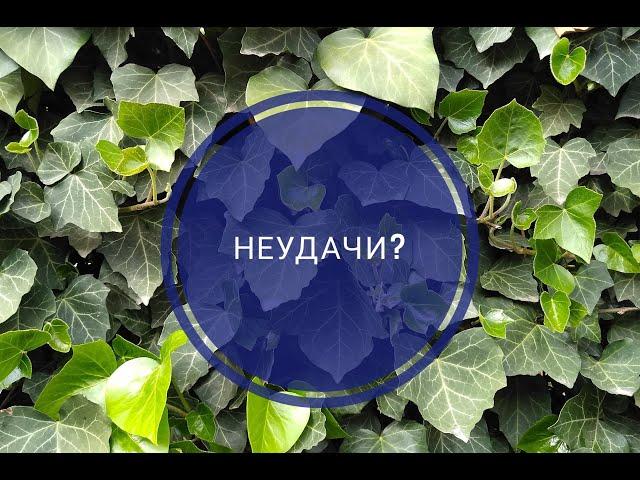 ЧТО ДЕЛАТЬ С НЕУДАЧЕЙ? //